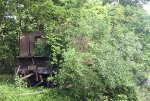 Unknown steam tender in the weeds